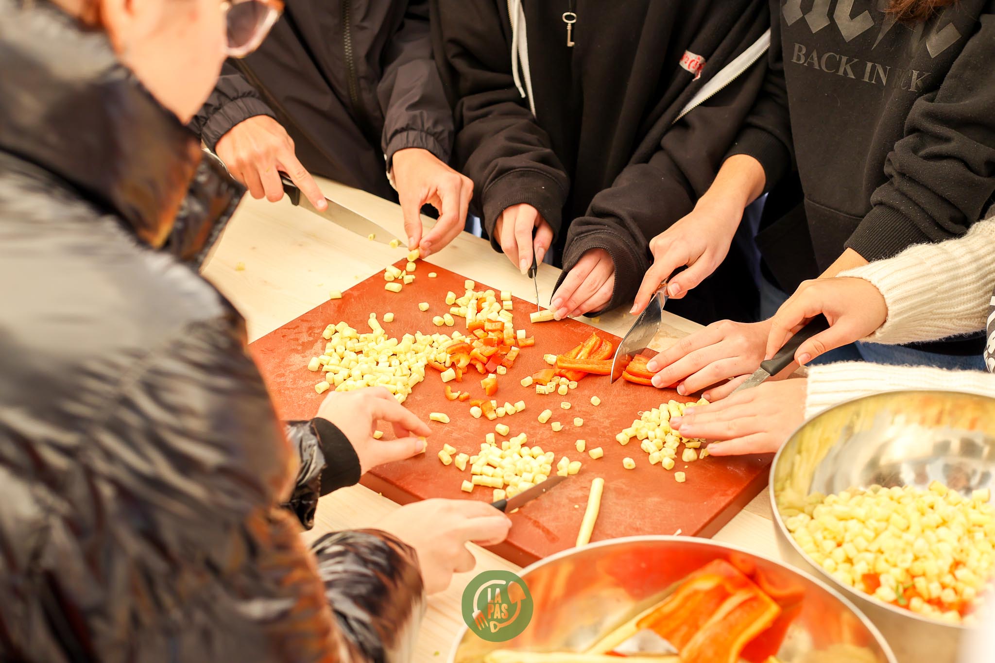 Proiect „AUTOrii schimbării în alimentația”, Liceul Tehnologic de Transporturi Auto, Timișoara