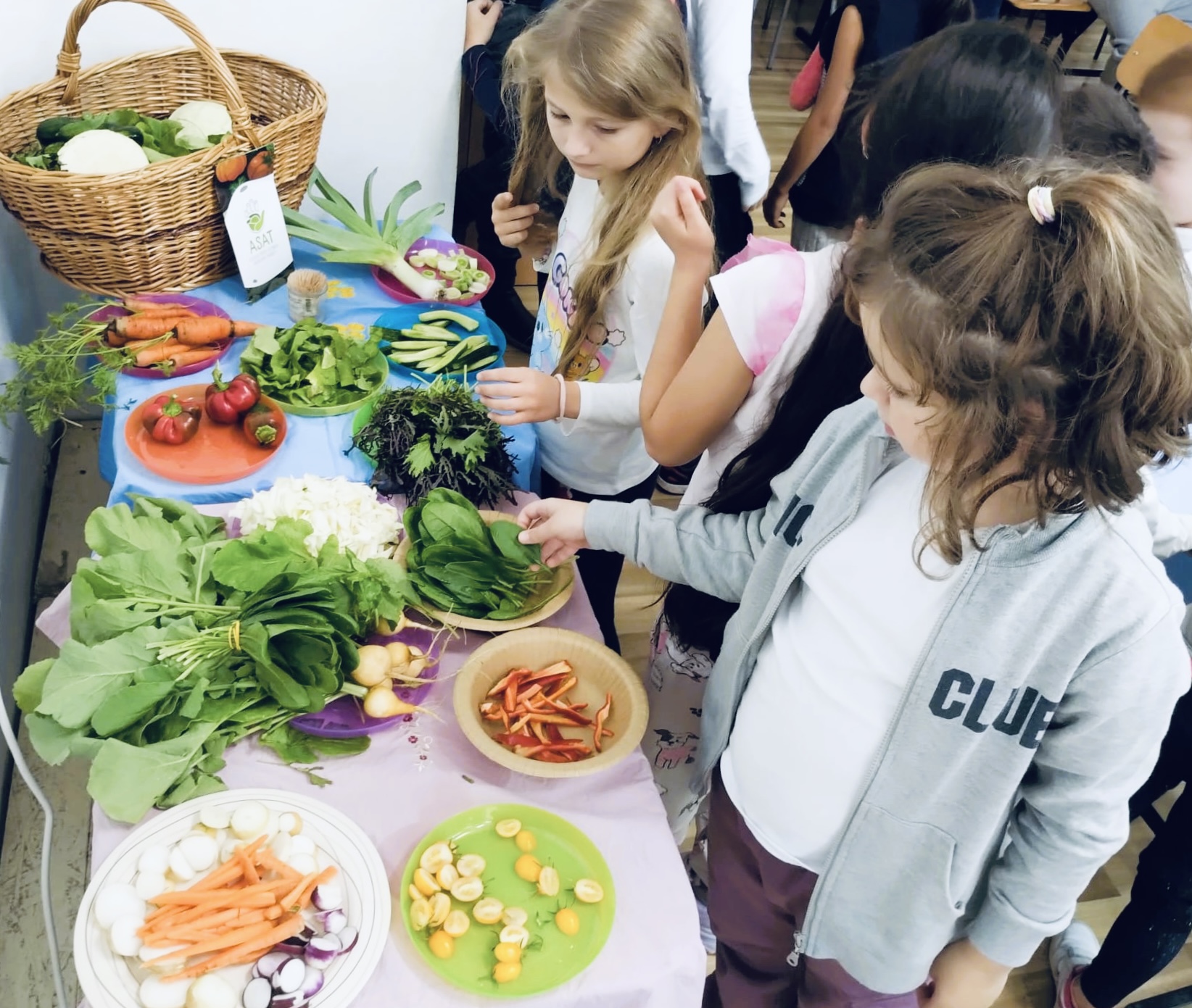 LA PAS – Educație pentru schimbare, hrană sănătoasă și consum responsabil. CRIES duce legumele în școli și îi ajută pe copii să descopere piețele, grădinile și bucătăria